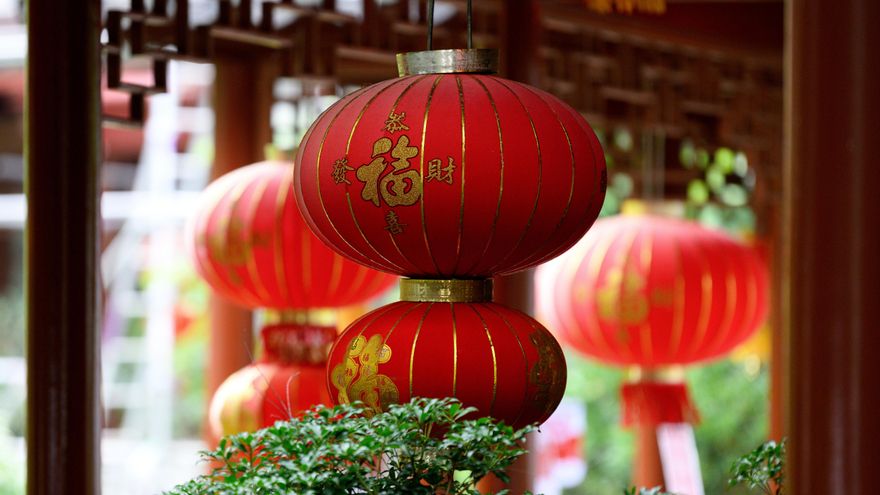 Clausuran un restaurante en Usera que vendía palomas muertas como pato laqueado