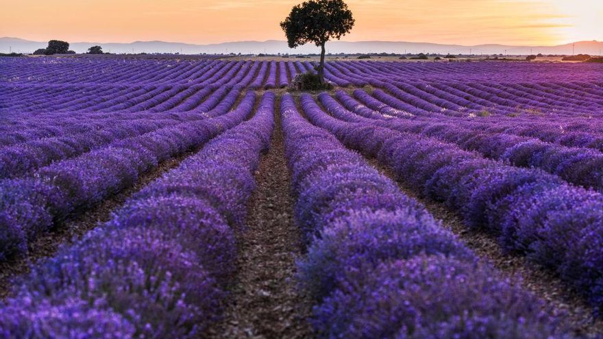 "Un hermoso país al que la gente no le da la gana ir": un viaje a la Alcarria para redescubrirla en seis paradas