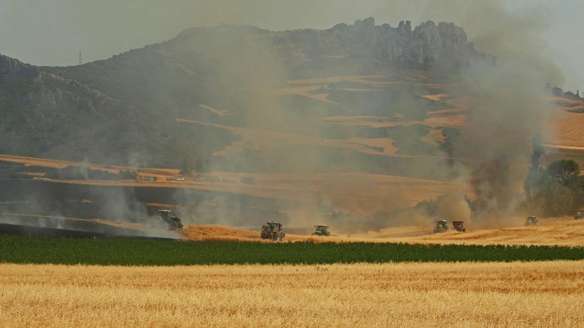 La Rioja encadena su sexto incendio en 24 horas con un fuego agrícola activo en Treviana