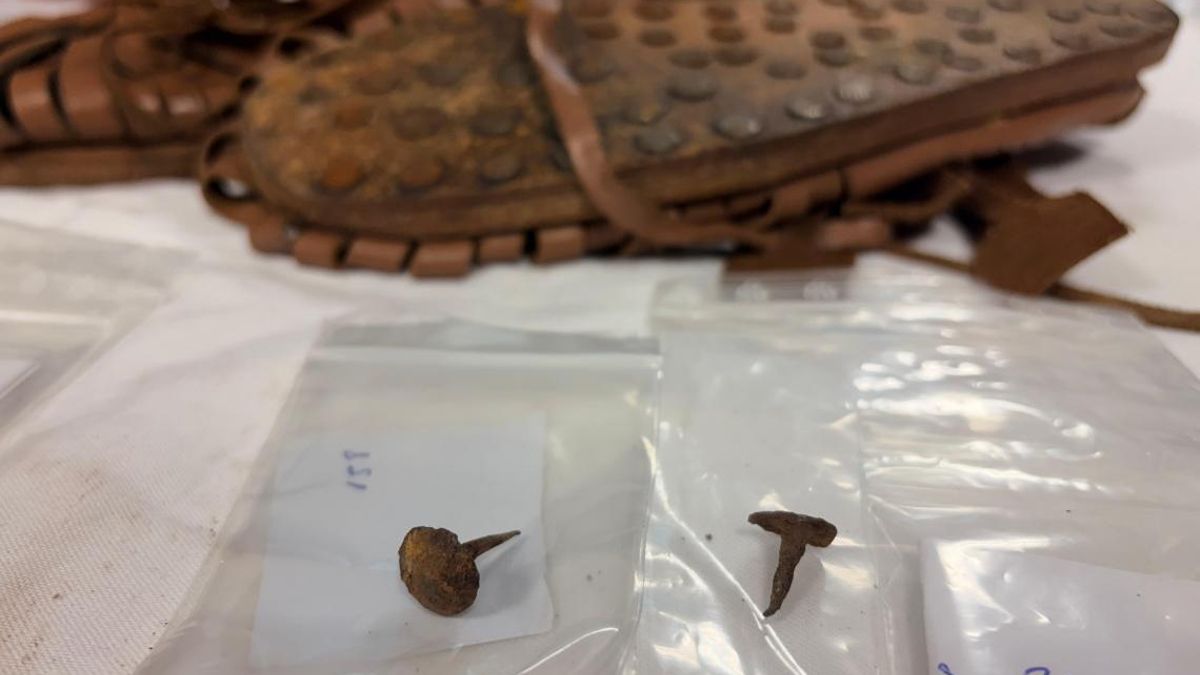 Tachuelas del calzado de los soldados romanos recuperadas durante las excavaciones arqueológicas en León