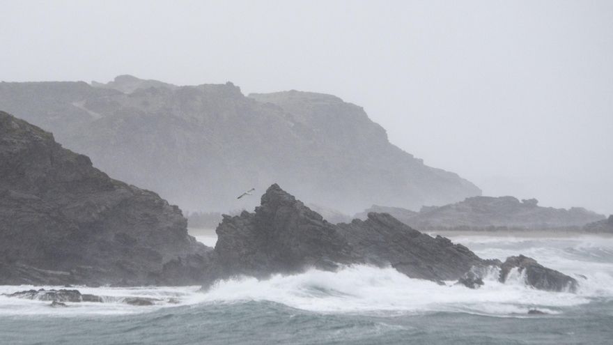 Biólogos alertan de los efectos del calentamiento sobre los microbios marinos