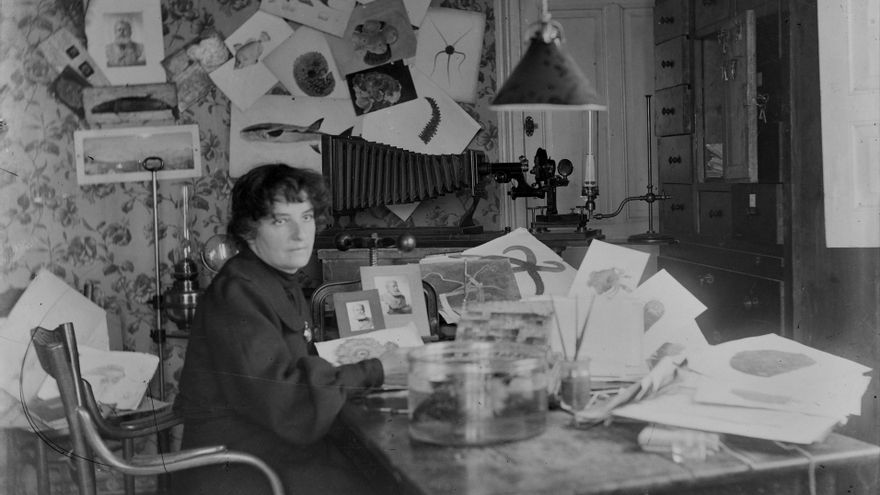 El Museo Marítimo del Cantábrico inaugura una muestra sobre la ilustradora científica Luisa de la Vega