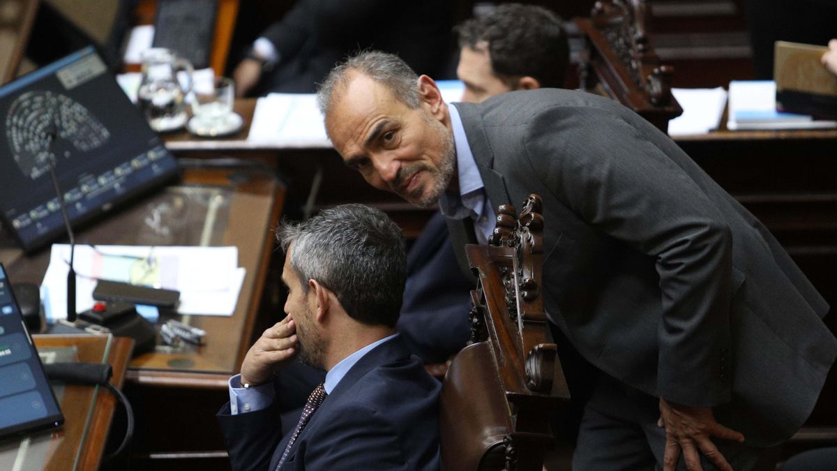 Martín y Lule Menem, durante una sesión de Diputados en 2024.