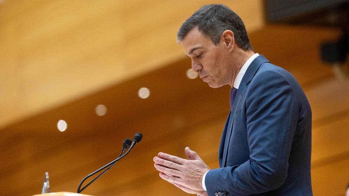 El presidente del Gobierno, Pedro Sánchez, interviene en el Senado.