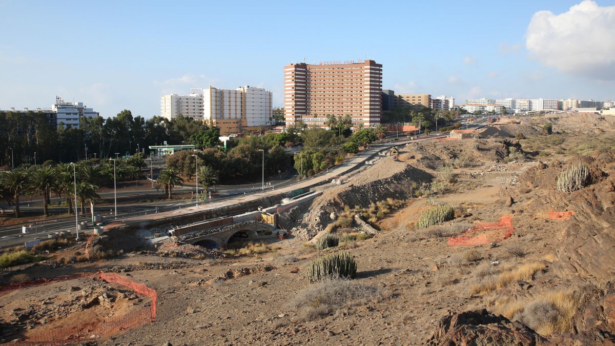 El colectivo ecologista Turcón pide rigor en la evaluación ambiental del plan para el Siam Park de Gran Canaria