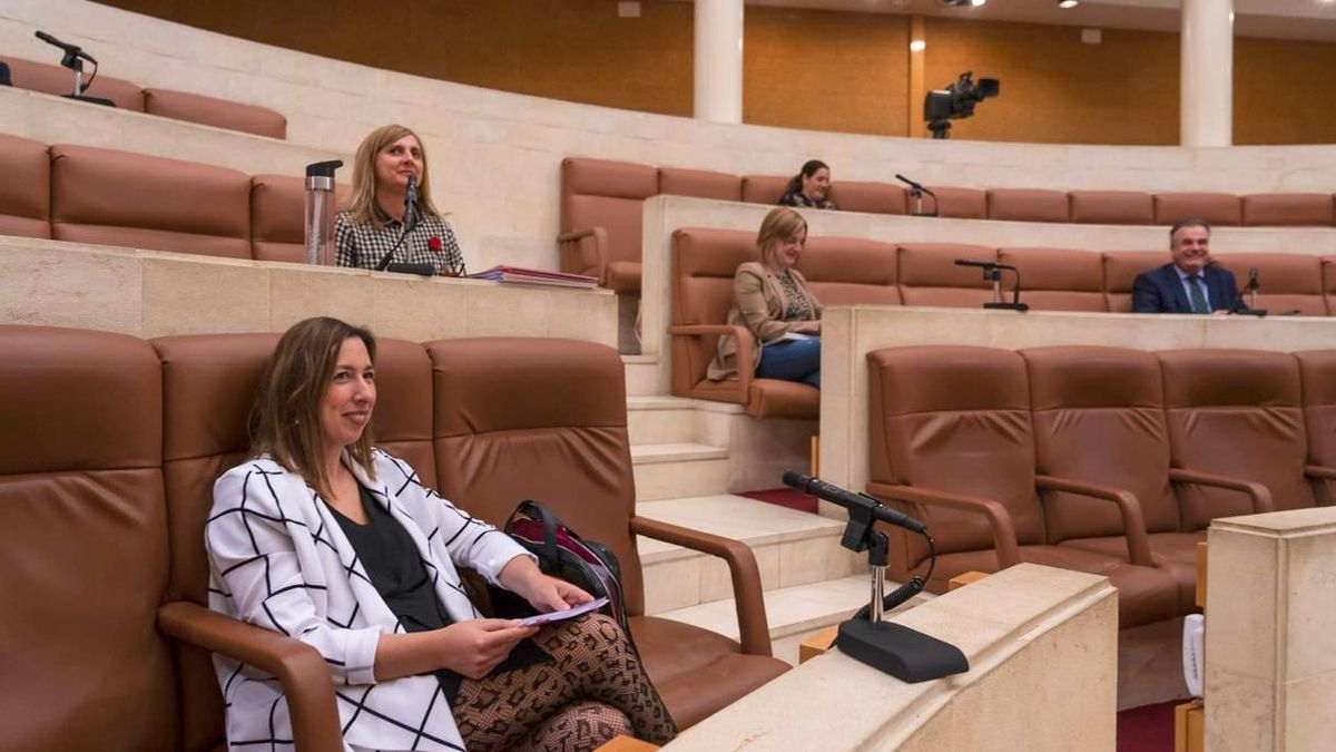 La consejera pide consenso y unidad para "aplanar" la curva económica al tiempo que la de contagios