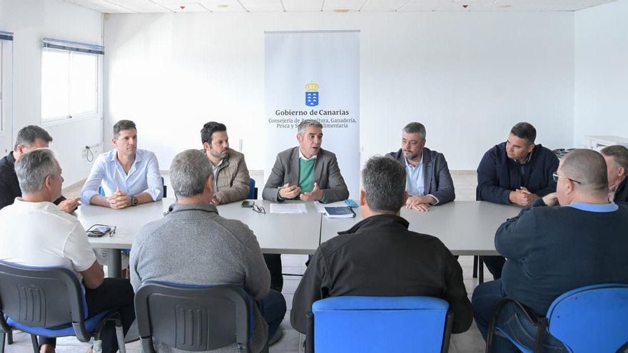 Canarias solo captura el 22% de la cuota asignada en 2025 para la pesca de atún rojo