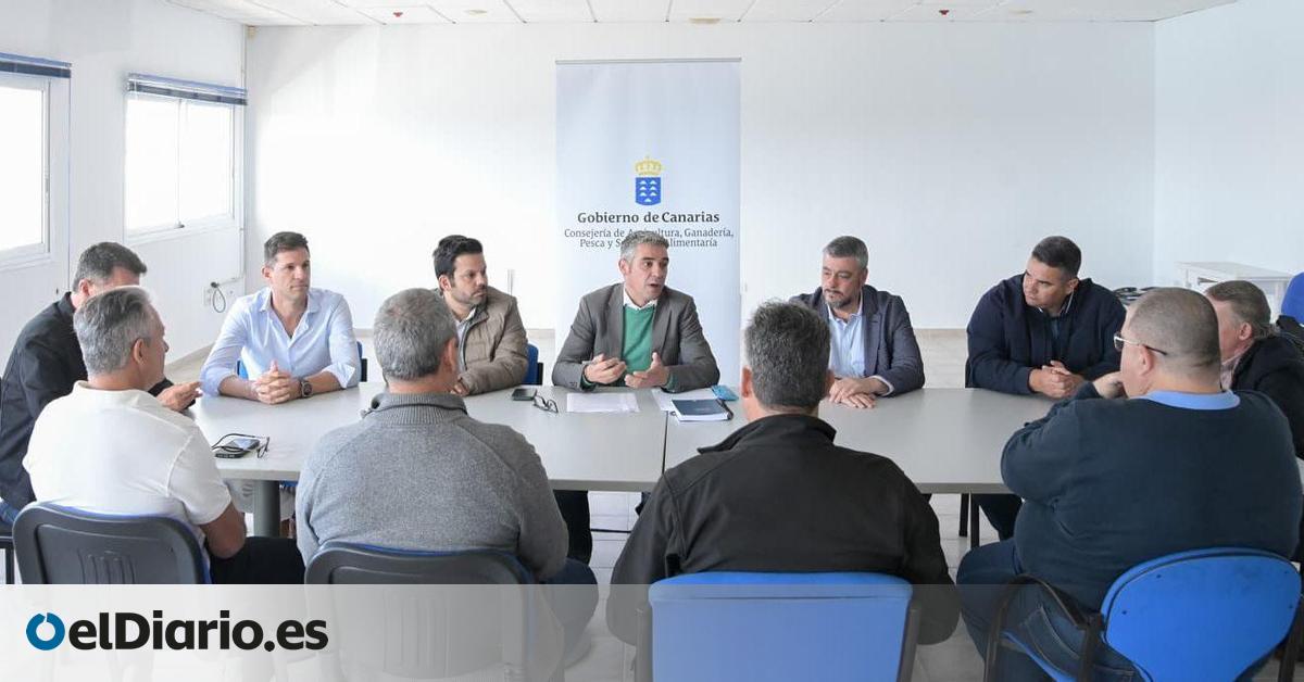 Canarias solo captura el 22% de la cuota asignada en 2025 para la pesca de atún rojo