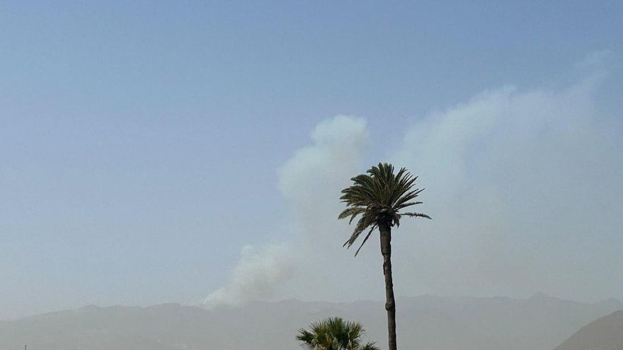 Vista del incendio declarado este lunes en Telde.