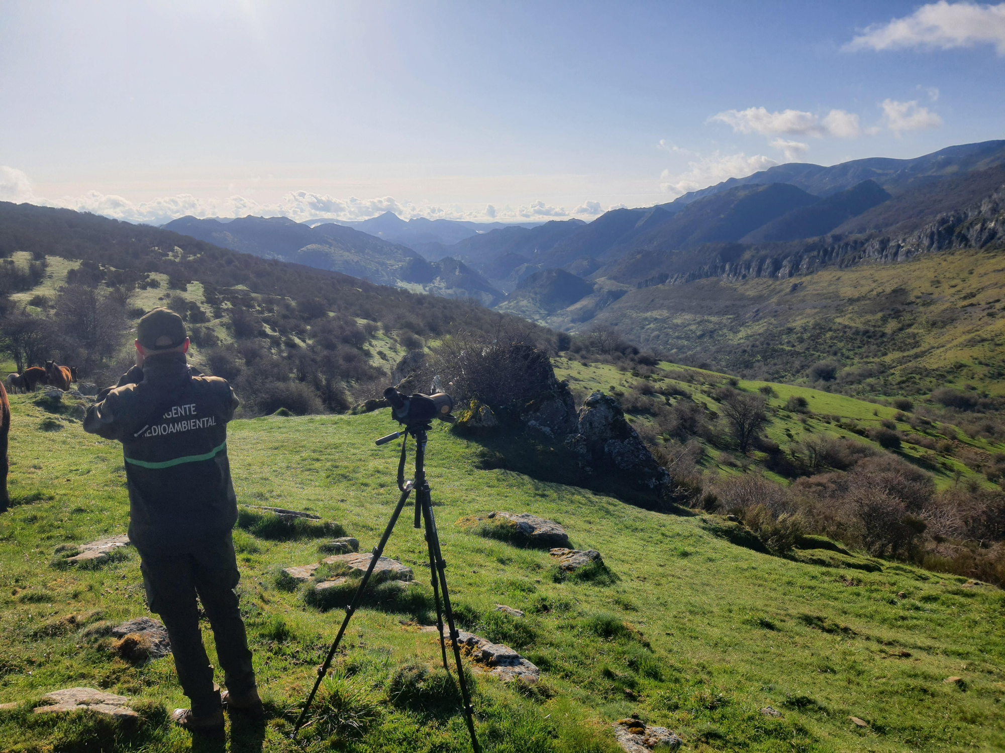 Agentes medioambientales de la Junta de Castilla y León vigilando en una zona de montaña de la provincia.