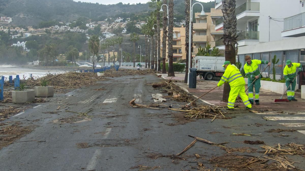 Operarios municipales de La Herradura (Granada) limpian aceras y carreteras repletas de arena y cañas tras el paso 
de la borrasca