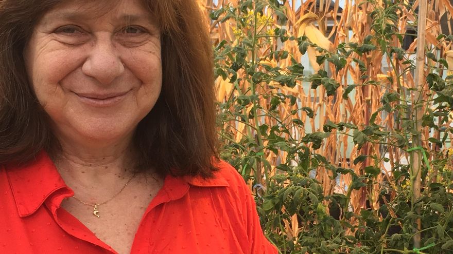 Raquel Chan, especialista en biotecnología vegetal: "Nadie va a defender a los agroquímicos, pero hoy ningún agricultor extensivo va a sembrar sin usarlos"