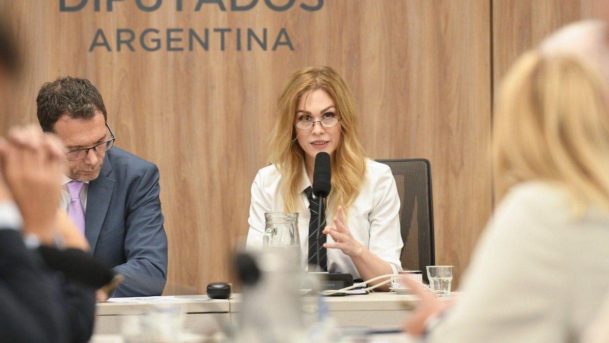 Lilia Lemoine fue designada como presidenta de la comisión y Sebastián Pareja como secretario primero