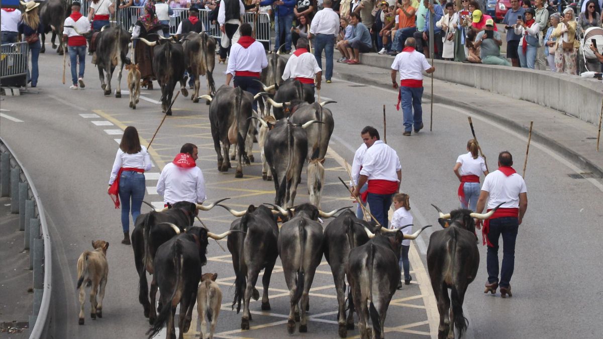 La Pasá de tudancas recorrió las calles del centro de Santander.