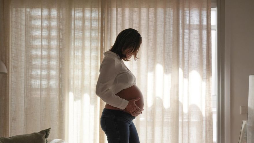 Limitaciones en el acompañamiento a víctimas de violencia en la maternidad en la red sociosanitaria de Euskadi