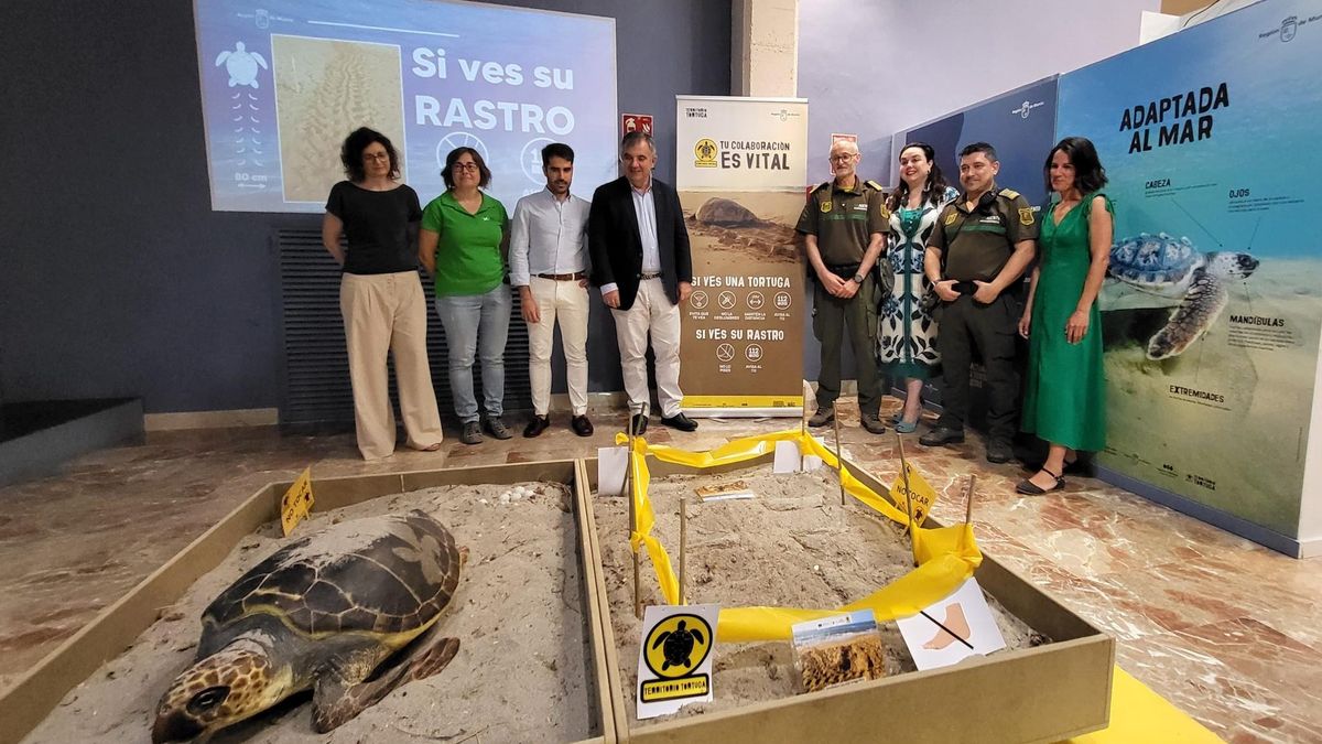 La exposición 'Territorio Tortuga' abre sus puertas en el Museo de la Ciencia y el Agua de Murcia
