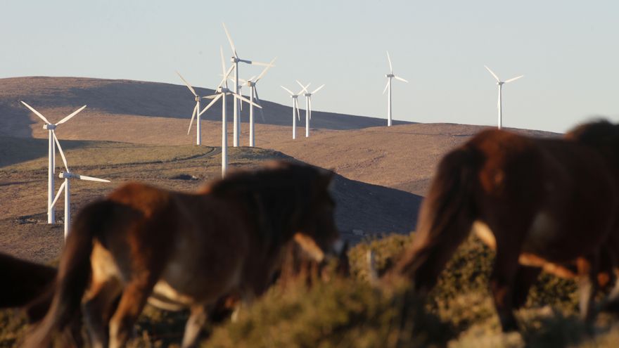 Ecologistas dan la voz de alarma sobre los planes de la Xunta para "facilitar" la explotación privada de recursos naturales