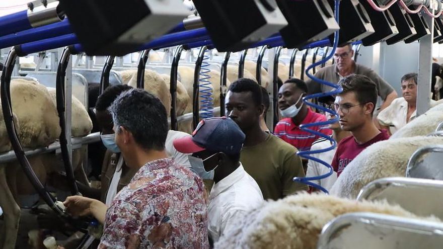 Aprender a ser pastor: los primeros 17 jóvenes se forman en Valdepeñas