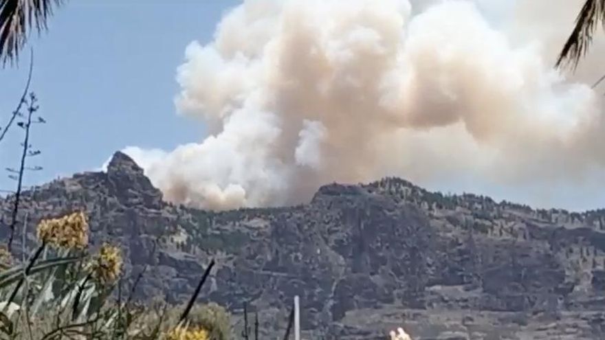 Incendio en la cumbre de Gran Canaria, este martes