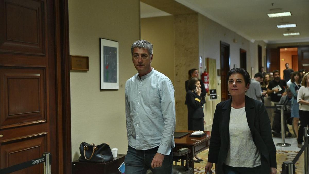 Bildu, dispuesto a apoyar a Sánchez si se abre a dialogar sobre presos y derecho de autodeterminación: "Está en su mano"