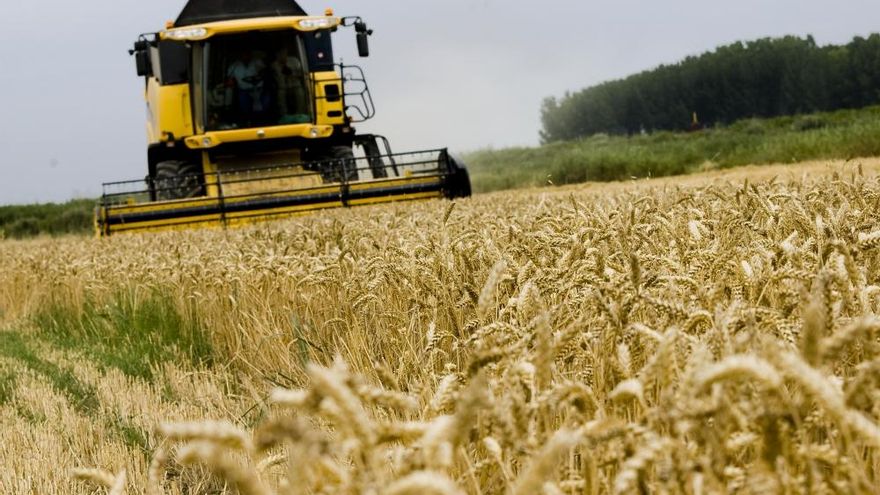 Los agricultores y ganaderos de Castilla-La Mancha perciben 456,8 millones de euros del anticipo de la PAC