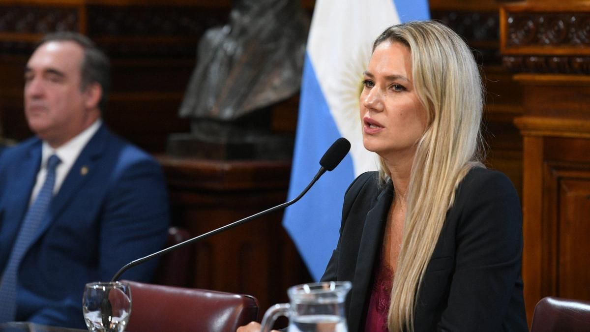 El rechazo al proyecto para castigar las llamadas "denuncias falsas" llega a la ONU y a la OEA