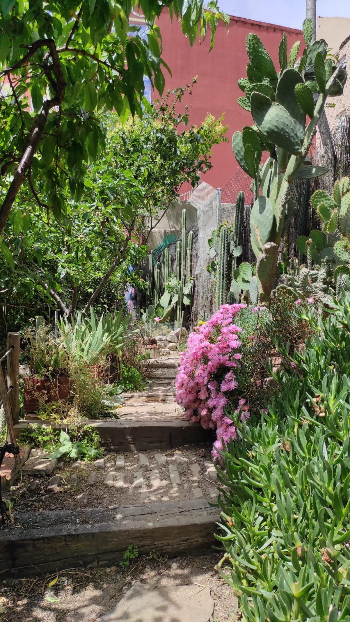 Detalle del jardín de cactus en Esta es una plaza