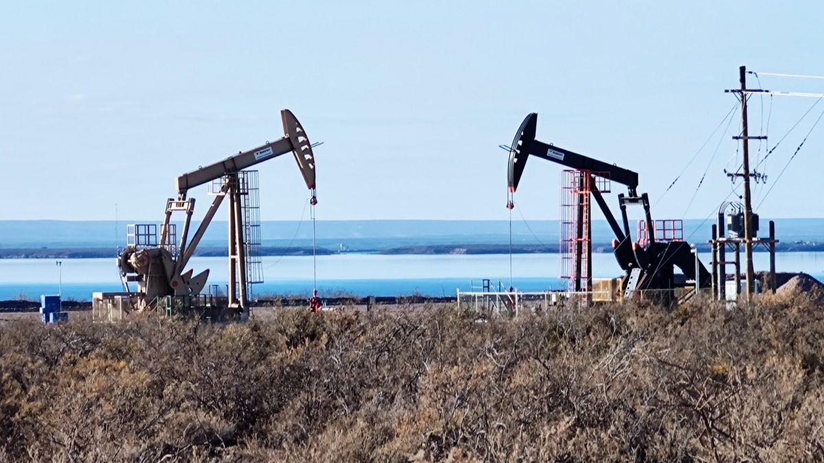Cigueñas en  La Península , lago Mari Menuco, Neuquén