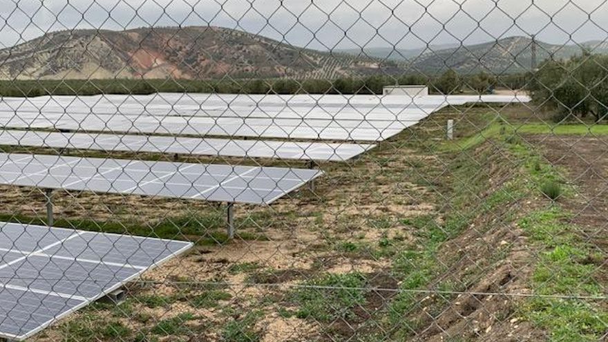 Plantaciones fotovoltaaicas