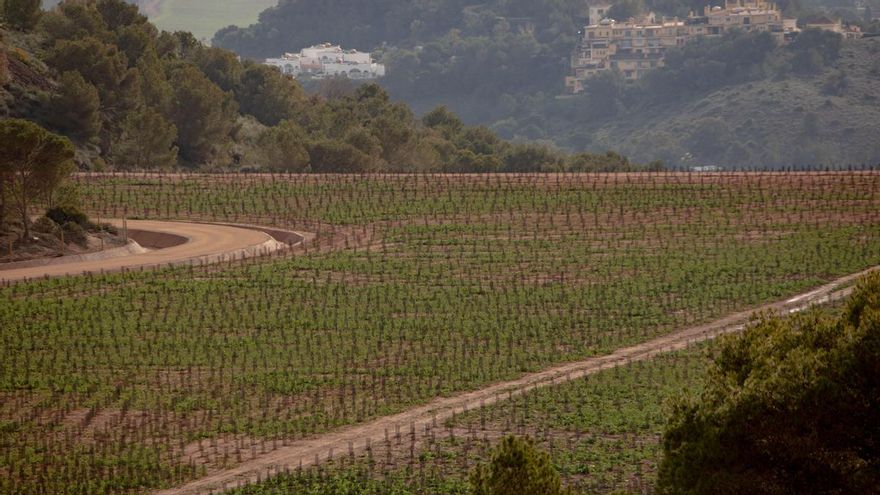 More than 100 analyzes reveal that the governments of Murcia and Toragusa have sealed off the El Lirio mine deposit with contaminated soil