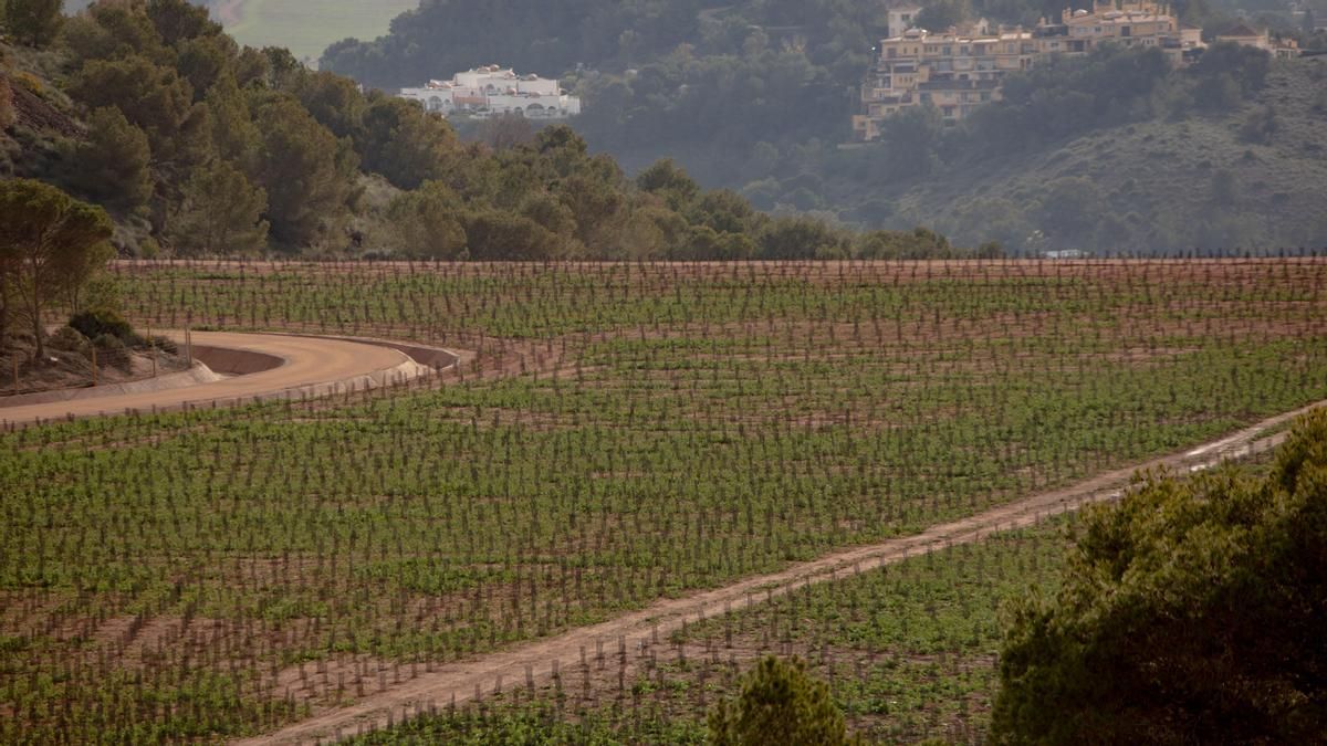 Más de un centenar de análisis revelan que el Gobierno de Murcia y Tragsa sellaron el depósito minero de El Lirio con tierra contaminada