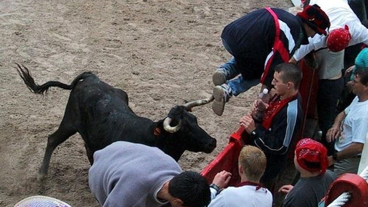 Corridas de toros subvencionadas contra la despoblación en Cantabria: 132.000 euros para cuatro nuevos habitantes en tres años