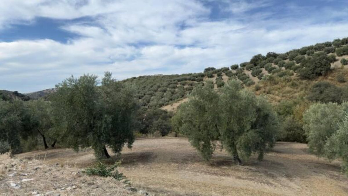 Ecologistas solicitan la suspensión "urgente" de la mina Serrano en Carcabuey