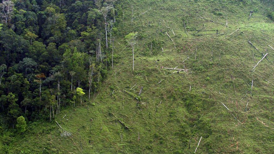 Indígenas denuncian graves daños ambientales en la biosfera de Honduras