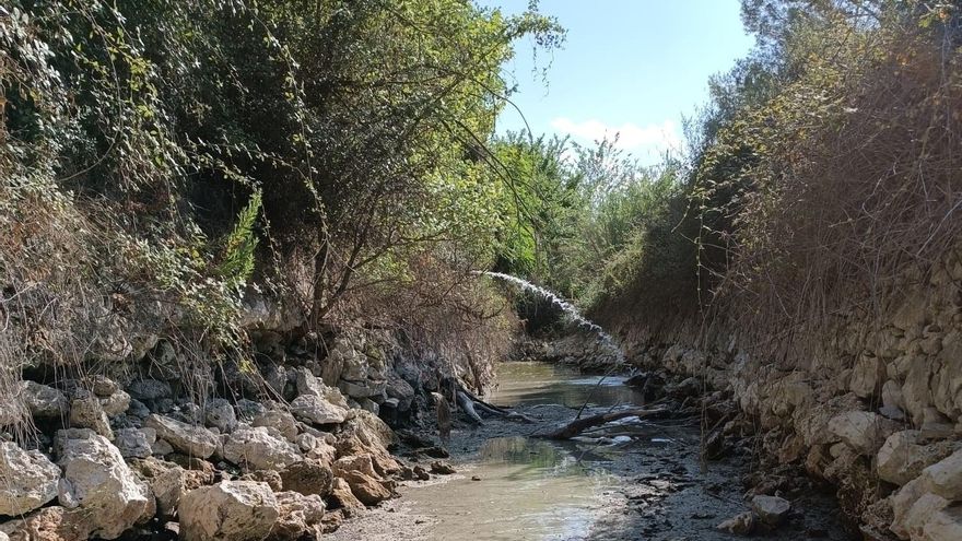 L'Alcúdia de Crespins y Canals ponen 'respiración asistida' al río Sants por la sequía