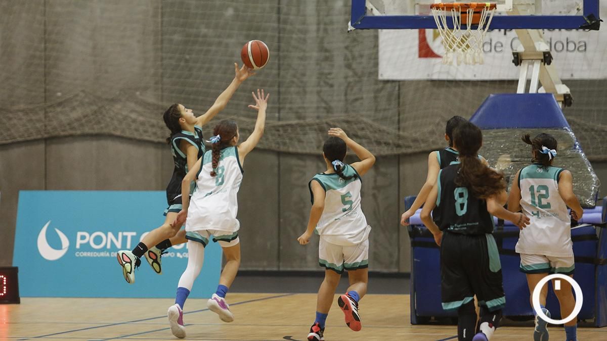 Finales del campeonato de andalucía de minibasket femenino