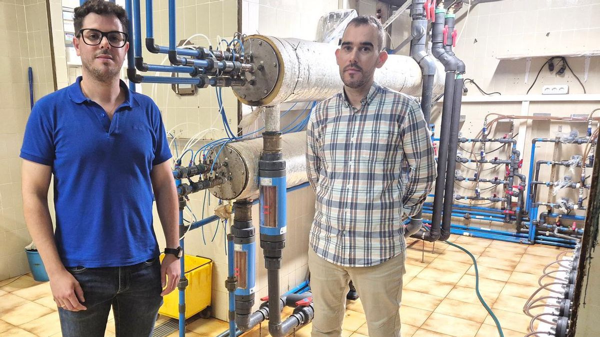 Profesores de Náutica de la UC lanzan una app que analiza el efecto de la acumulación biológica en instalaciones navales