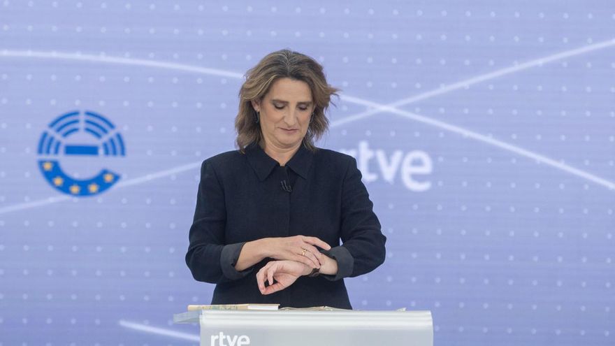 EuropaPress 6013487 cabeza lista psoe parlamento europeo vicepresidenta tercera gobierno teresa