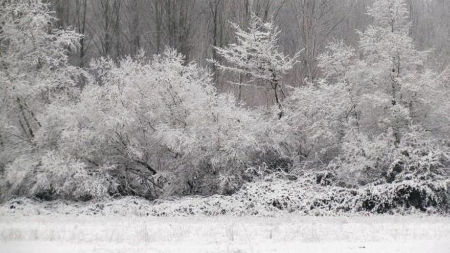Cimanes del Tejar en invierno