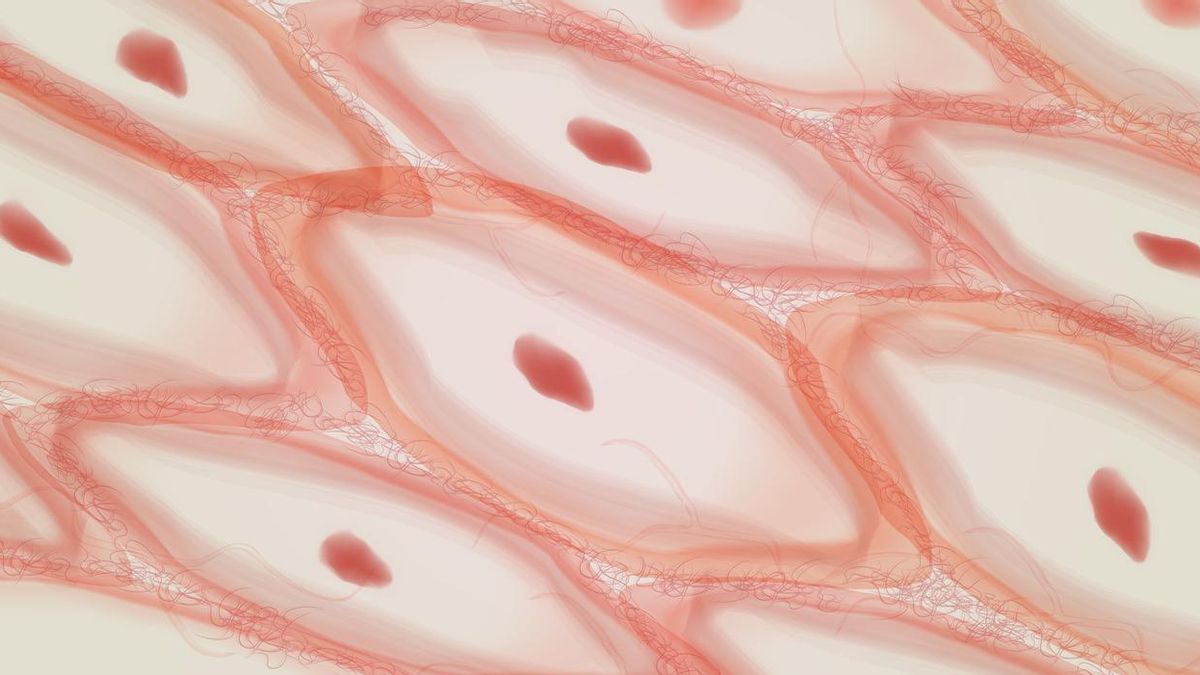 Tejido epitelial, células del tejido de la piel