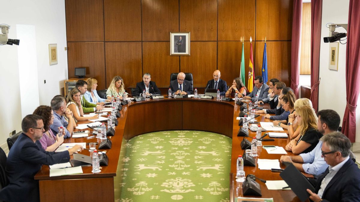 El PP andaluz rechaza convocar un pleno extraordinario en el Parlamento para dar explicaciones sobre los incendios de este verano