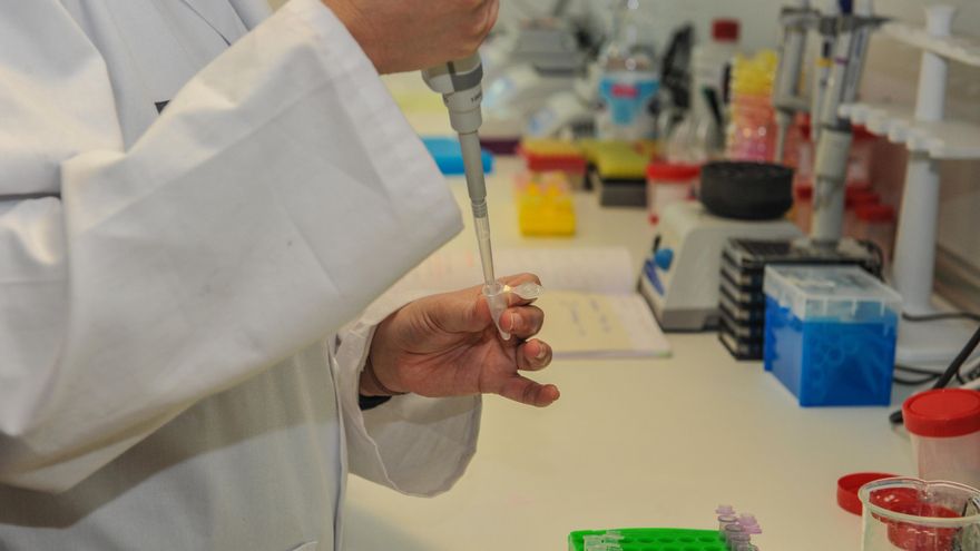 Investigadors valencians al laboratori.