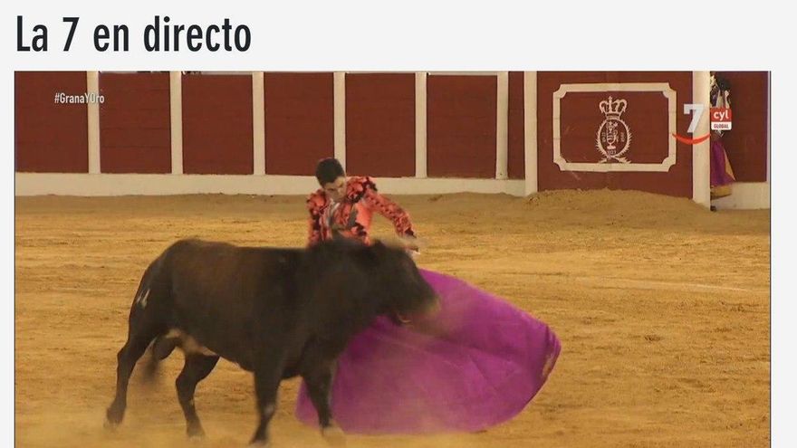 La realidad paralela de Castilla y León Televisión mientras Mañueco comparece en las Cortes: toros, campo y concursos
