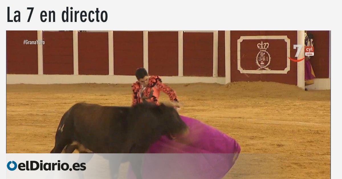 La realidad paralela de Castilla y León Televisión mientras Mañueco comparece en las Cortes: toros, campo y concursos