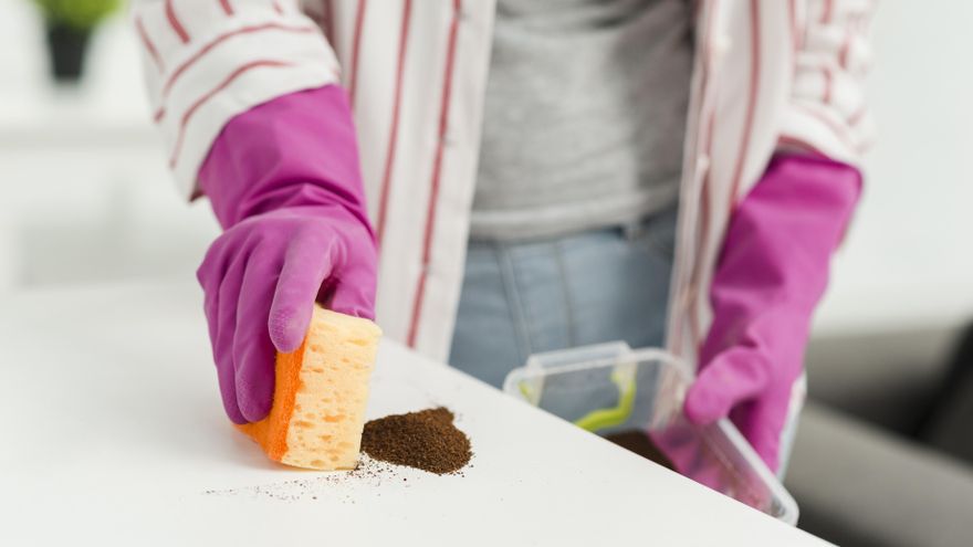 Siete formas de evitar la presencia de cucarachas en la cocina con la llegada del buen tiempo