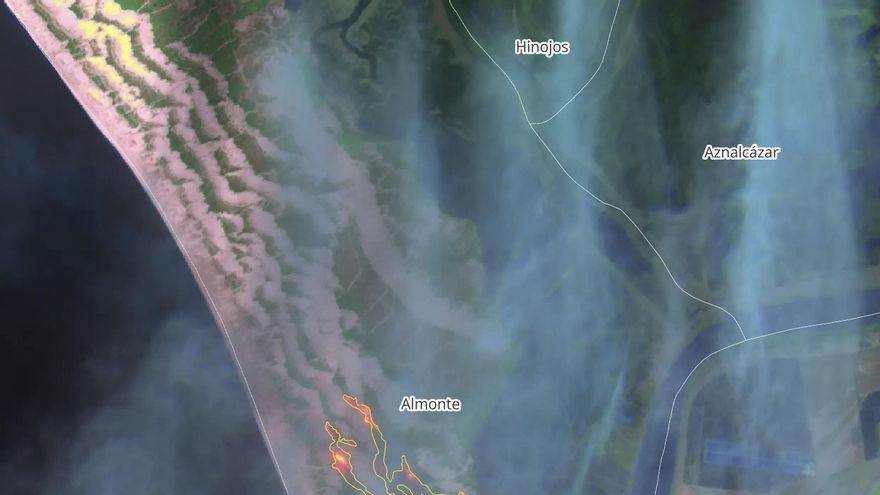 El fuego en Doñana afecta a una zona de "enorme valor ecológico" aunque la Junta lo sitúa fuera del Parque Nacional