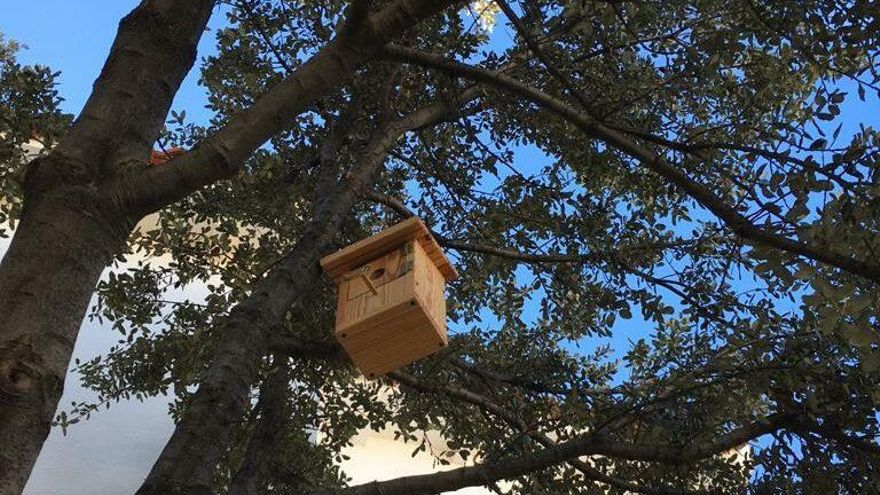Caja nido de la iniciativa ‘Ajofrineros por la diversidad’