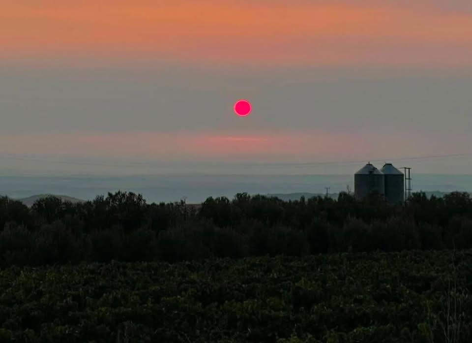 Todas las fotos del concurso 'Disfruta La Rioja' (Parte 1): 120 miradas al verano en nuestra región