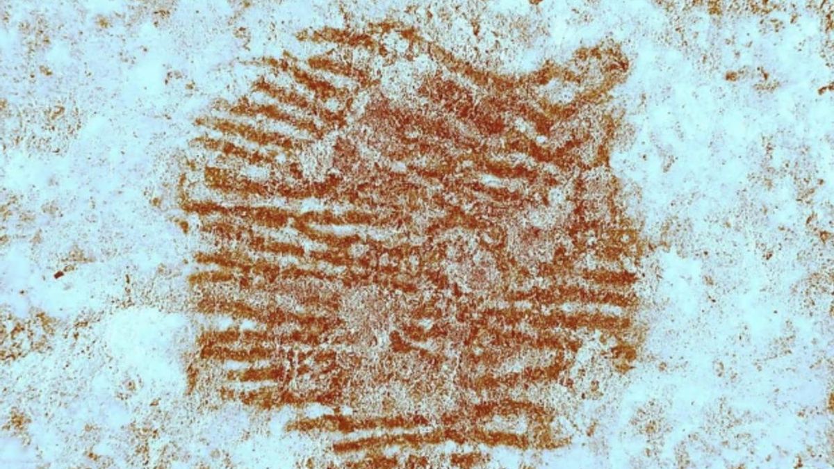 El pigmento aplicado, traído desde otro lugar, y la elección precisa del lugar para depositarlo apuntan a una intervención consciente