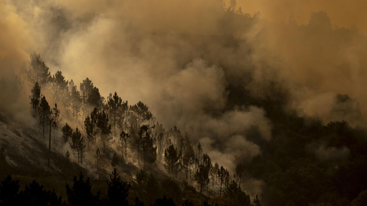 Vista del incendio que se registra en Maceda (Ourense) este domingo.